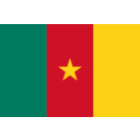 Flag Of Cameroon