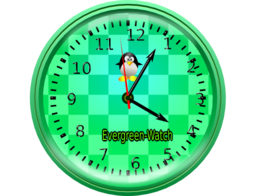 Evergreen Watch