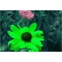 download Spider Flower clipart image with 90 hue color