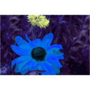 download Spider Flower clipart image with 180 hue color