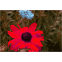 download Spider Flower clipart image with 315 hue color