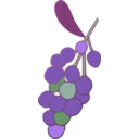 download Grapes clipart image with 180 hue color