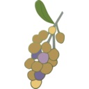 download Grapes clipart image with 315 hue color