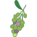 Grapes