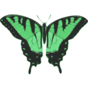 download Butterfly Papilio Turnus Top View clipart image with 90 hue color