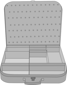 Suitcase With Compartment