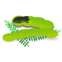 download Tamarind clipart image with 45 hue color