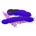 download Tamarind clipart image with 225 hue color