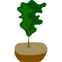 Tree In Pot