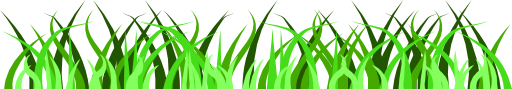 Grass