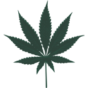 download Cannabis Leafs clipart image with 45 hue color