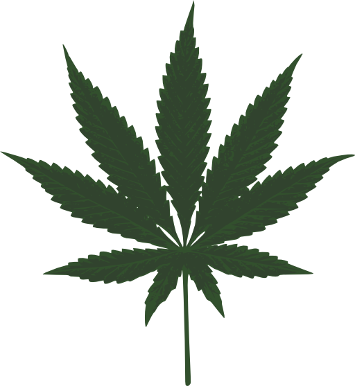 Cannabis Leafs