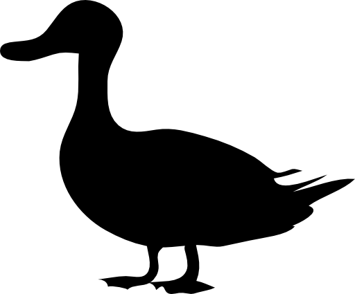 Architetto Papera