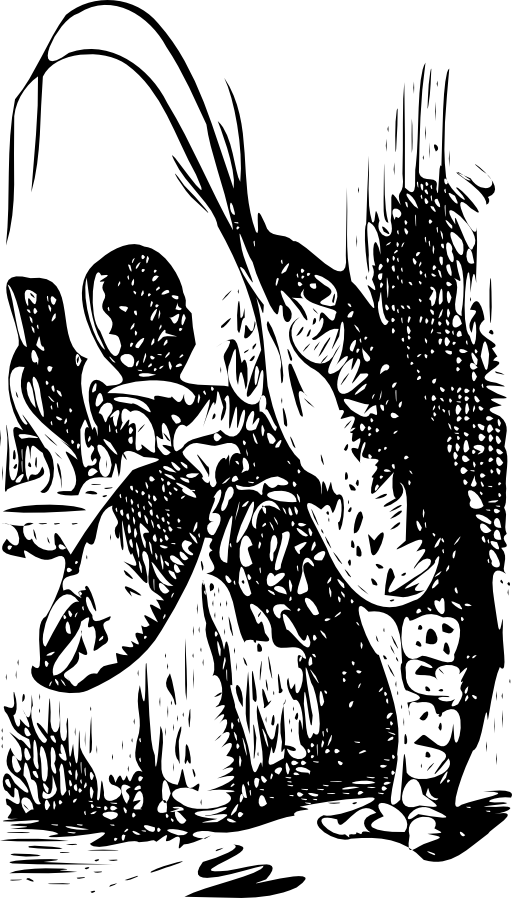 Alice 36