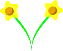 Daffodil