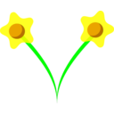 Daffodil