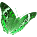 download Junonia Coenia clipart image with 90 hue color