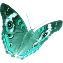 download Junonia Coenia clipart image with 135 hue color