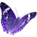 download Junonia Coenia clipart image with 225 hue color