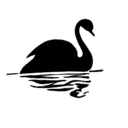 download Black Swan Silhouette clipart image with 270 hue color
