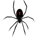 Black Widow Spider