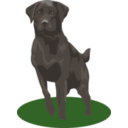 download Black Lab clipart image with 45 hue color