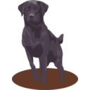 download Black Lab clipart image with 315 hue color