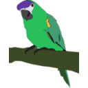 download Parrot clipart image with 45 hue color