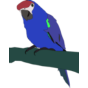 download Parrot clipart image with 135 hue color