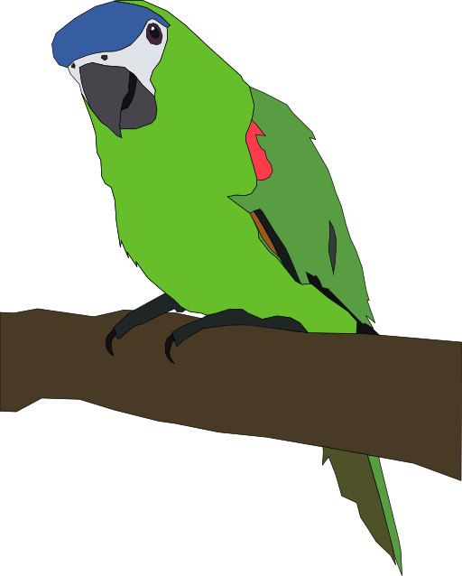 Parrot