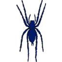 download Brown Spider clipart image with 180 hue color