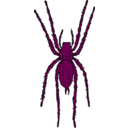 download Brown Spider clipart image with 270 hue color