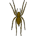 download Brown Spider clipart image with 0 hue color