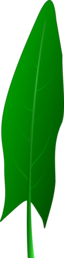 Sorrel