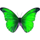 download Morpho Rhetenor clipart image with 270 hue color