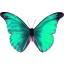 download Morpho Rhetenor clipart image with 315 hue color
