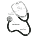 download 58294main The Brain In Space Page 127 Stethoscope With Labels clipart image with 135 hue color