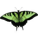 download Papilio Glaucus clipart image with 45 hue color