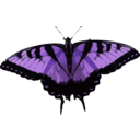 download Papilio Glaucus clipart image with 225 hue color