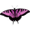 download Papilio Glaucus clipart image with 270 hue color