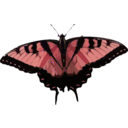 download Papilio Glaucus clipart image with 315 hue color