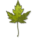 download Maple Leaf clipart image with 45 hue color