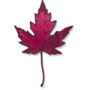 download Maple Leaf clipart image with 315 hue color