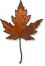 Maple Leaf