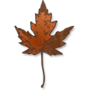 Maple Leaf