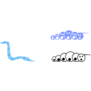 download Worm clipart image with 180 hue color