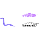 download Worm clipart image with 225 hue color